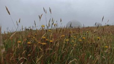 En Manizales conceden beneficios tributarios por aportar a la conservación ambiental