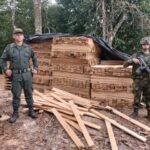 En Norcasia capturaron a dos personas por talar árboles nativos