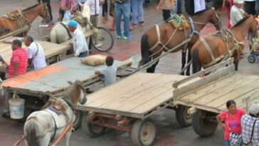 En Valledupar se están robando y matando los caballos