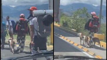 Entre Pasto - Popayán volvieron a ver viajeros caminando con varios perros, denuncian