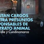 Imputan cargos contra presuntos responsables de maltrato animal en el Valle y Cundinamarca