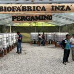 Inauguran la primera Biofábrica comunitaria en el Cauca