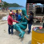 Instalan la primera escultura de la etnia Tayrona en Taganga