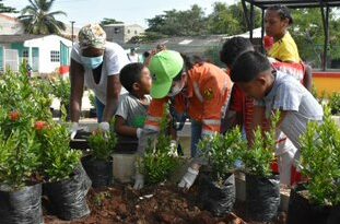 Jornada de siembra en el Parque Sofronín Martínez de Pasacaballos