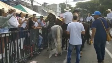 La Alcaldía de Ibagué confirma que no autorizará más cabalgatas
