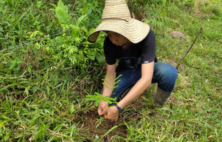 Líderes comunales de 11 municipios se unen para convertir fincas en bosques