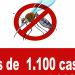 Más de 1.100 casos de dengue  se han registrado en lo corrido 2022