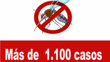 Más de 1.100 casos de dengue  se han registrado en lo corrido 2022