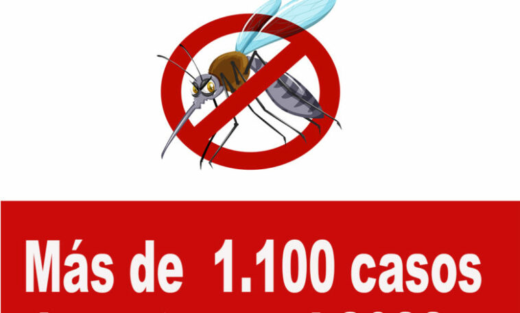 Más de 1.100 casos de dengue  se han registrado en lo corrido 2022