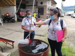 Más de 3 mil casos de dengue fueron notificados durante el primer semestre del año en Casanare