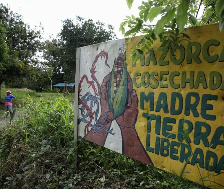Norte del Cauca, el complejo laboratorio del primer diálogo regional de paz