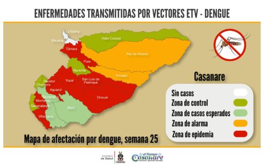 Ocho municipios de Casanare en epidemia por dengue