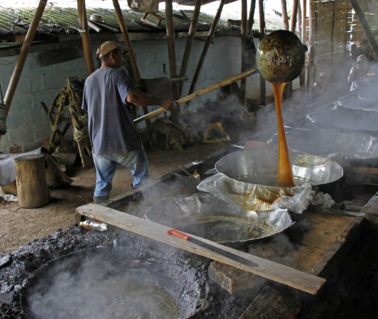 Productores de panela anuncian paro nacional