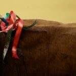 Radican nuevo proyecto para prohibir las corridas de toros en el país