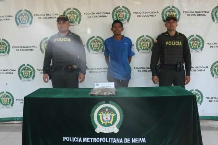 Reconocido ‘jíbaro’ tenía en su poder varias dosis de marihuana