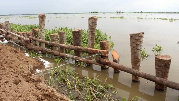 Residentes de Guaimaro han evacuado sus casas por erosión del río Magdalena