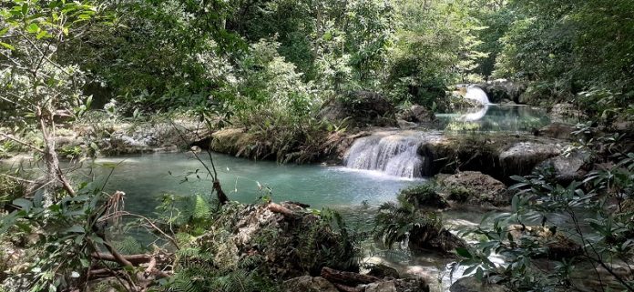 Una de las áreas protegidas en La Guajira, es montes de Oca.