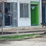 Seis civiles heridos deja atentado con granada contra Policía en Guaranda