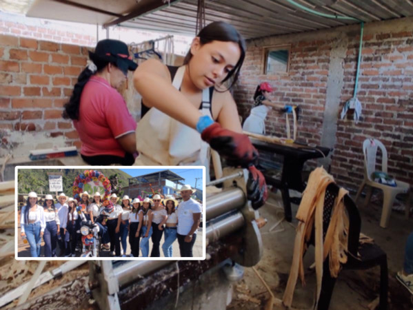 Sotomayor plátano proyecto ambiental