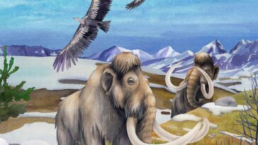 ¿De dónde llegó el mastodonte prehistórico hallado en el Valle?