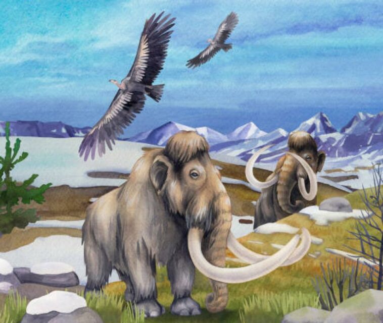 ¿De dónde llegó el mastodonte prehistórico hallado en el Valle?