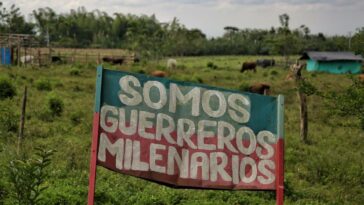 ¿Qué dicen comunidades afro por las diferencias por tierras en Cauca?