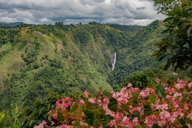 28 mujeres que de la mano de la Gobernación del Huila se han dedicado con amor y entrega al cultivo del café