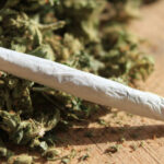 366 cigarrillos de marihuana incautados en Yopal