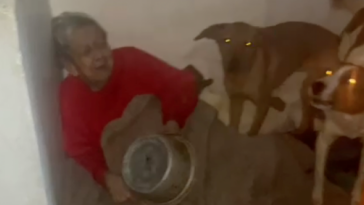 Su nieto la dejó encerrada en un cuarto oscuro con ocho perros
