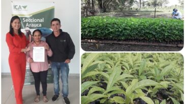 Arauca cuenta con nuevo vivero registrado ante el ICA