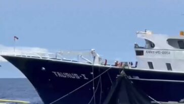 Barco venezolano al parecer realizó cruel pesca en Bahía Solano: “Había delfines botando sangre”
