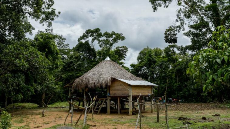 Denuncian masacre contra el pueblo indígena Awá