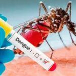 Diez municipios están declarados con brote de dengue en el departamento del Cesar