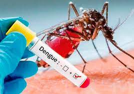 Diez municipios están declarados con brote de dengue en el departamento del Cesar