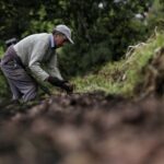 Dignidades Agropecuarias envían carta abierta a MinAgricultura