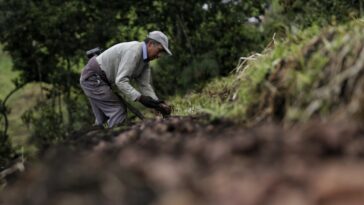 Dignidades Agropecuarias envían carta abierta a MinAgricultura