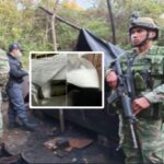 El Tambo, El Peñol y Ricaurte, municipios de Nariño en donde encontraron 'tremendos' cargamentos de droga