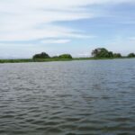 En El Banco, Caño Inasica recupera las condiciones hídricas y ambientales