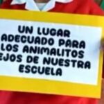 En Tunja protestarán por predio designado para Centro de Bienestar Animal