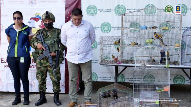 En acciones contra la minería ilegal y el tráfico de fauna silvestre la Fiscalía capturó a dos personas y recuperó 45 animales