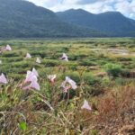 Más de 4 mil hectáreas de tierra que en su momento tenían carbón, ya fueron rehabilitadas.