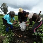 Insumos del agro subieron 32,6% entre enero y junio