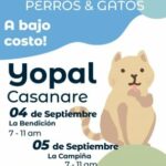 Jornadas de esterilización a perros y gatos a bajos costos