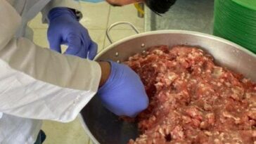 La empresa del caso de carne de caballo opera en más municipios de Antioquia