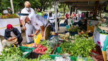 Mañana sábado, vuelve el Mercado Campesino Cuyabro al parque del barrio La Castellana en Armenia con más de 25 productores