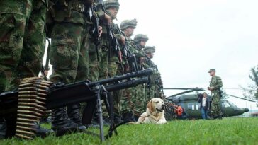 MinDefensa a responder al Senado por posible desmonte del servicio militar obligatorio