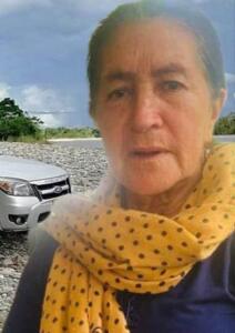 Mujer murió arrollada por una camioneta en su casa en Pitalito 7 22 agosto, 2022