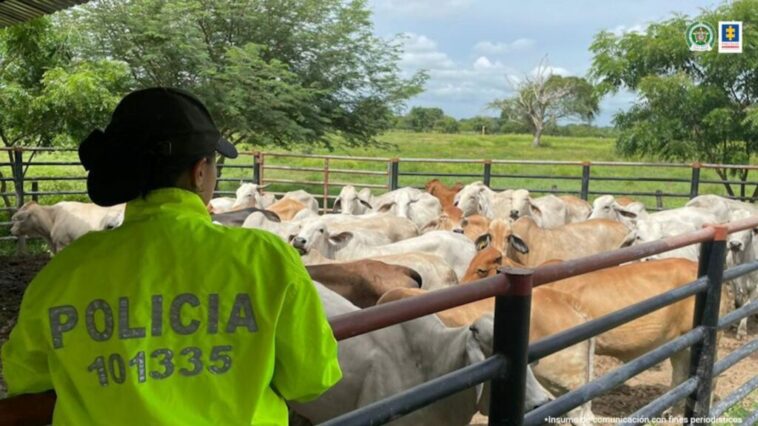 Ocupan bienes del Clan del Golfo; estaban a nombre de un abatido en Montelíbano