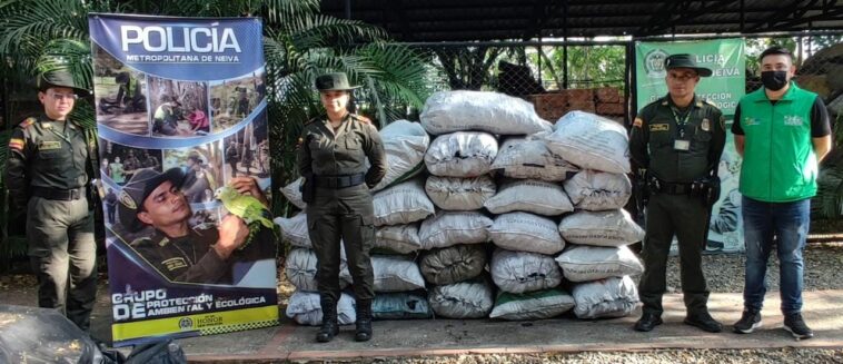 Policía ambiental y la CAM logra la incautación de aproximadamente 1.250 kilos de carbón