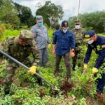 Policía suspendió la erradicación forzada de cultivos de coca. Glifosato no va más